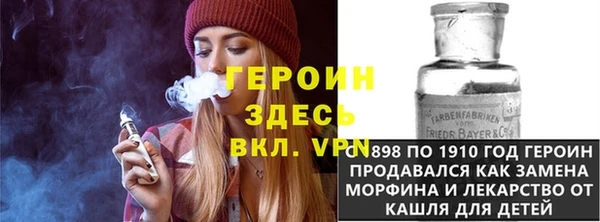 гидра Богородицк