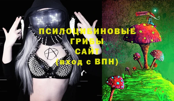 дмт Балахна