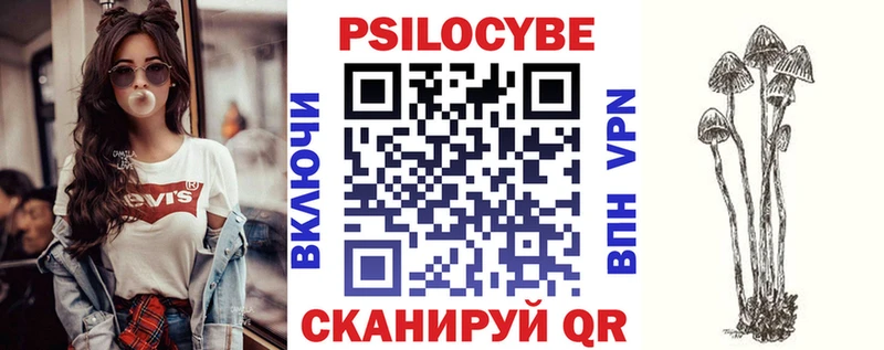 кракен маркетплейс  Гай  Псилоцибиновые грибы GOLDEN TEACHER  как найти  